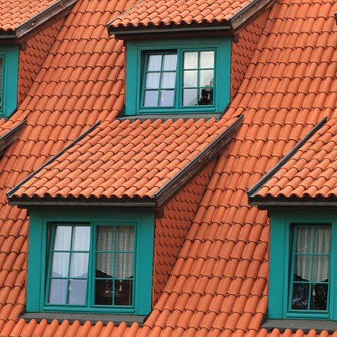 roof cleaning